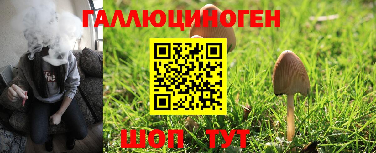 Псилоцибиновые грибы Psilocybine cubensis  Вход с VPN  Хасавюрт 