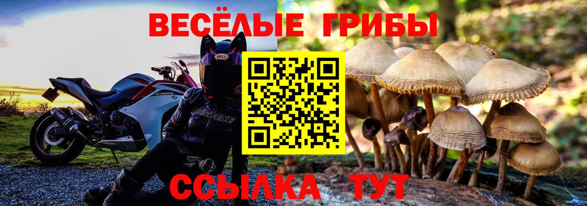 Амфетамин Хасавюрт